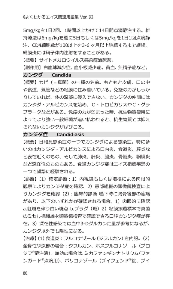 p80 カ（100ページ目）
