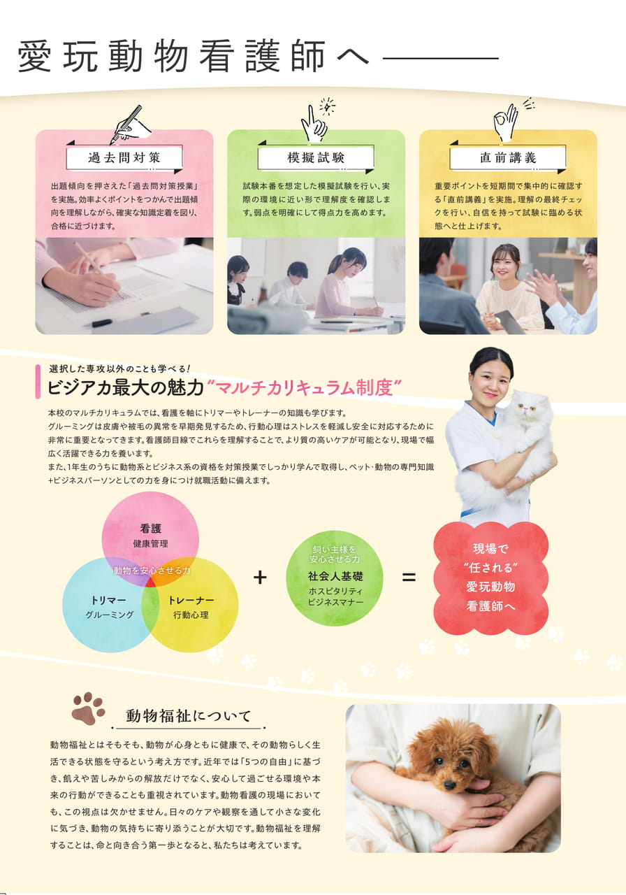 Page (追加)2（3ページ目）