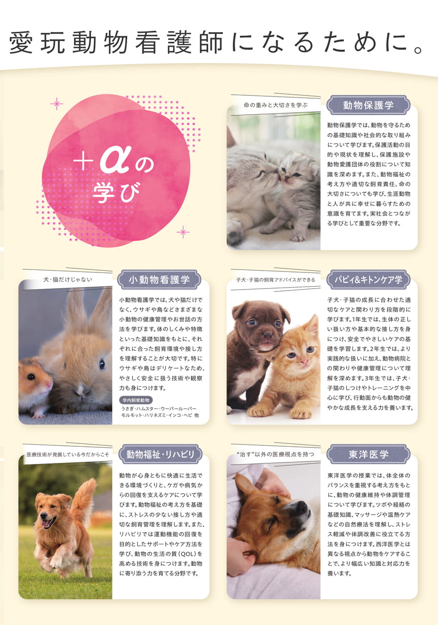 Page (追加)4（4ページ目）