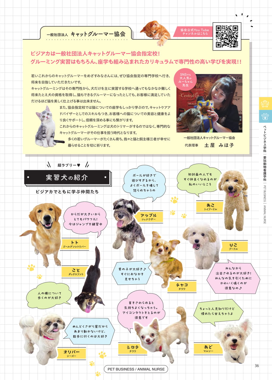 Page (追加)37（13ページ目）