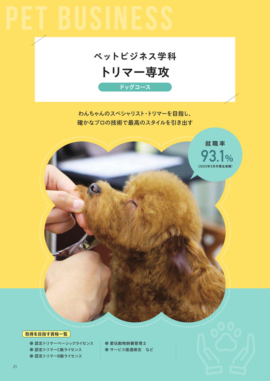 Page 10（10ページ目）
