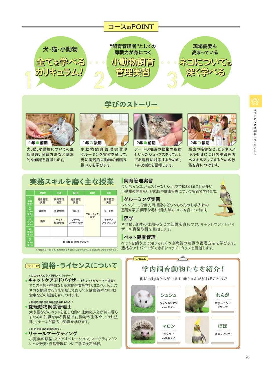 Page 17（17ページ目）