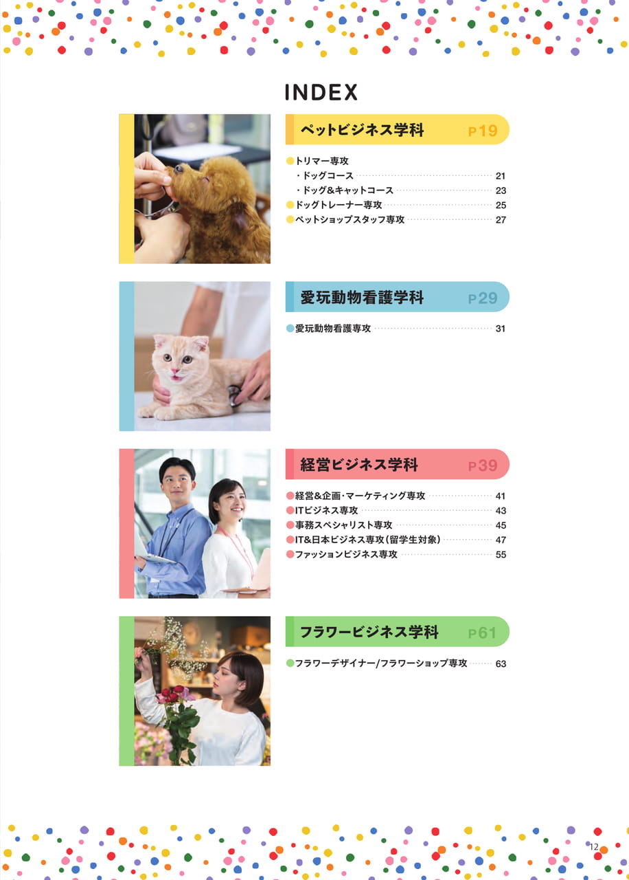 Page 13（13ページ目）