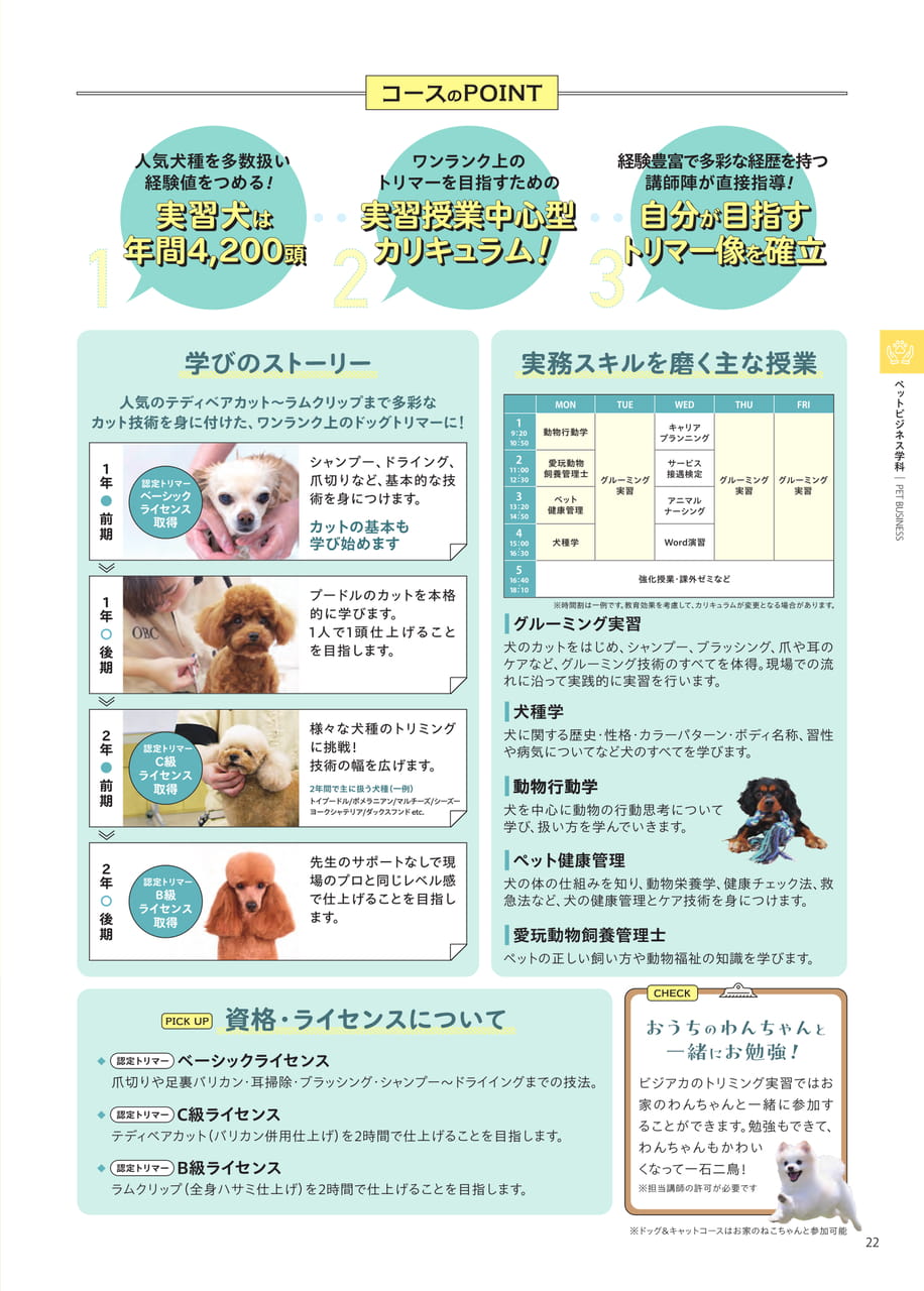 Page 23（23ページ目）