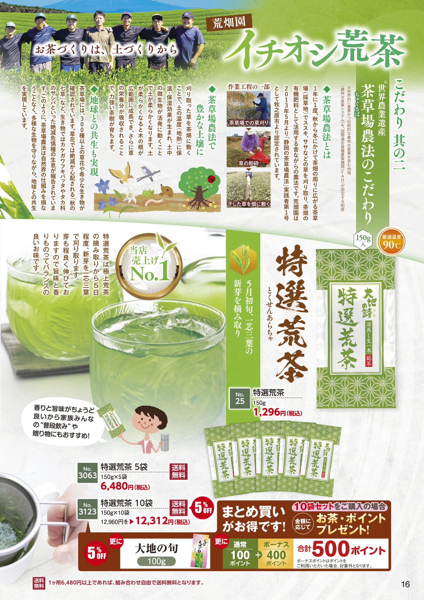 Page 16（16ページ目）