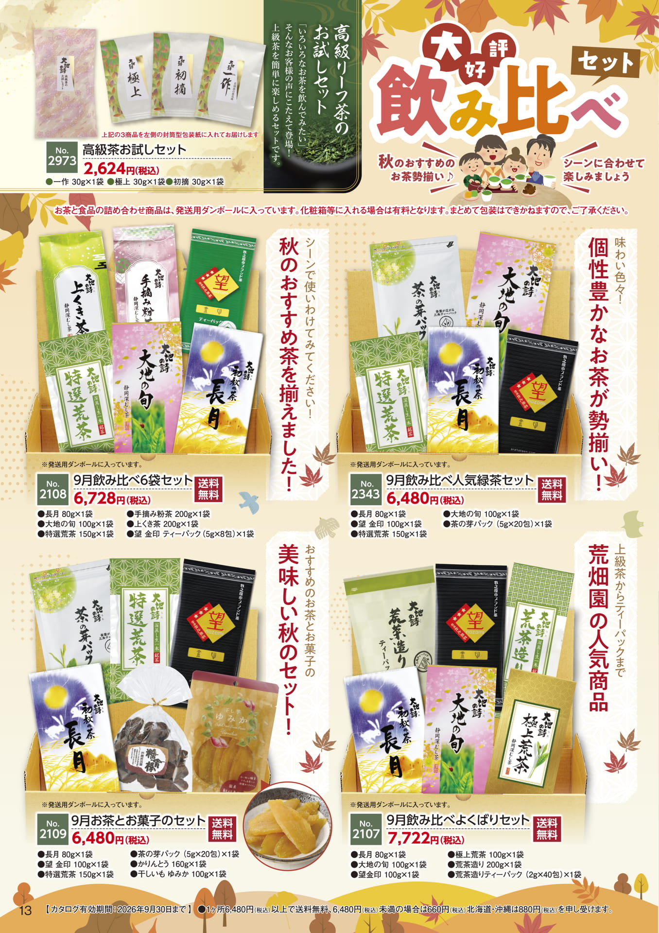 ページ（13ページ目）