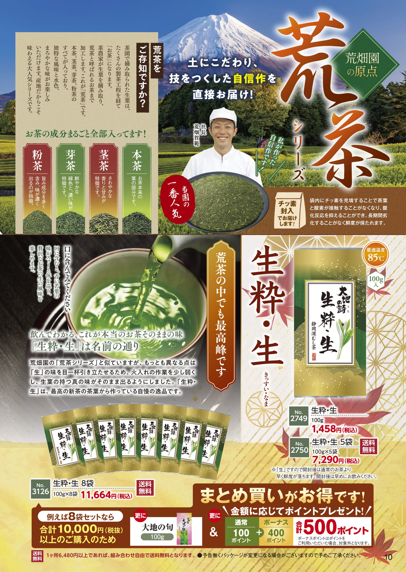 ページ（10ページ目）