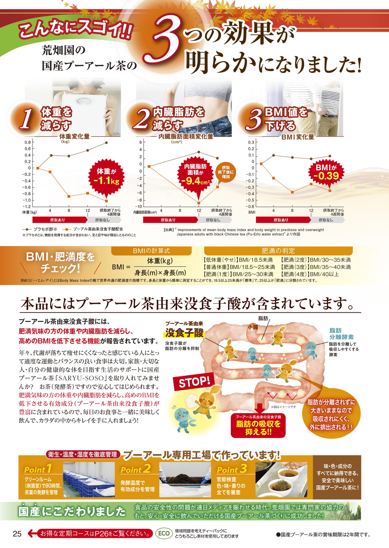 ページ（25ページ目）