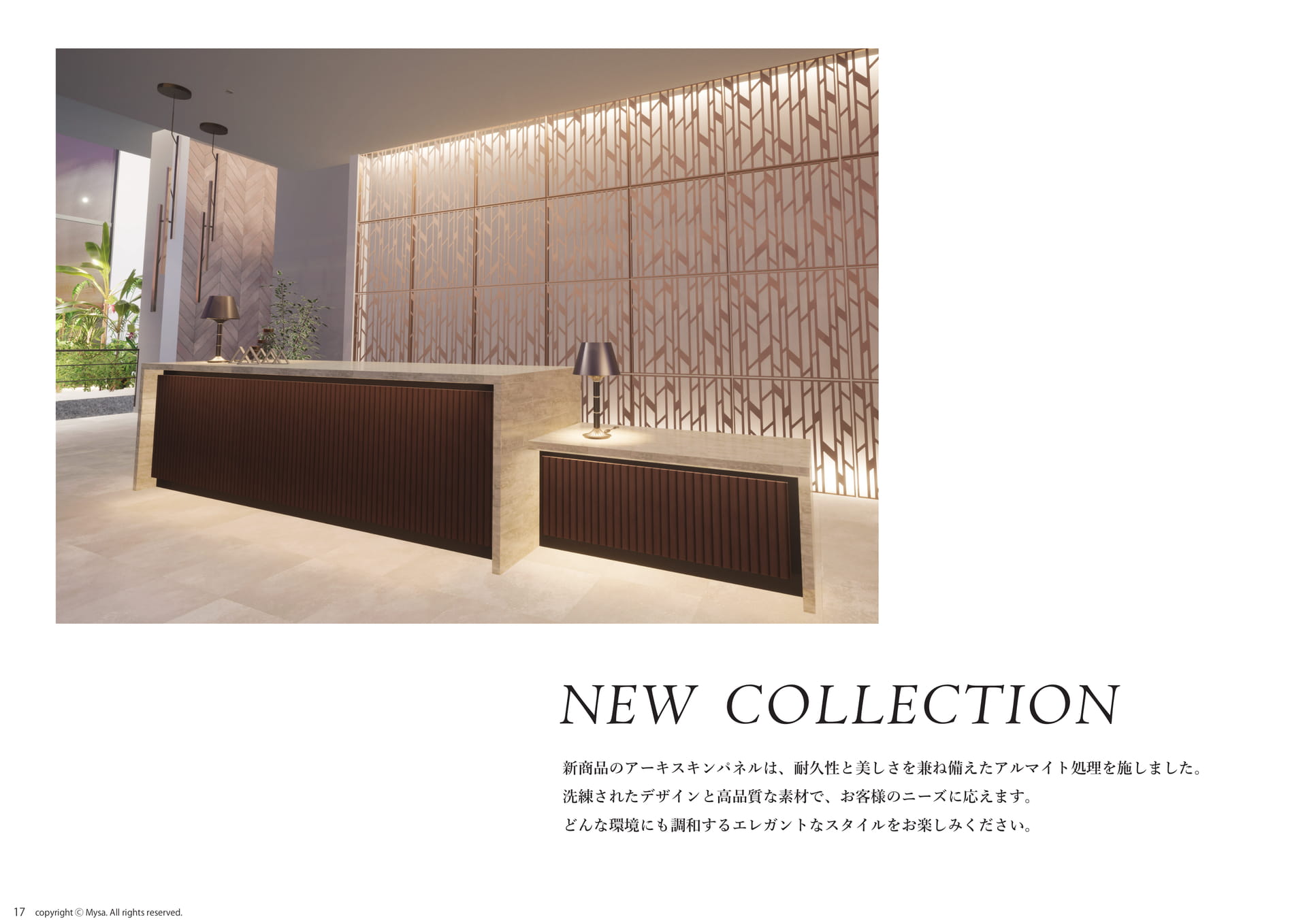 NEW COLLECTION(アルマイト)(18ページ目)