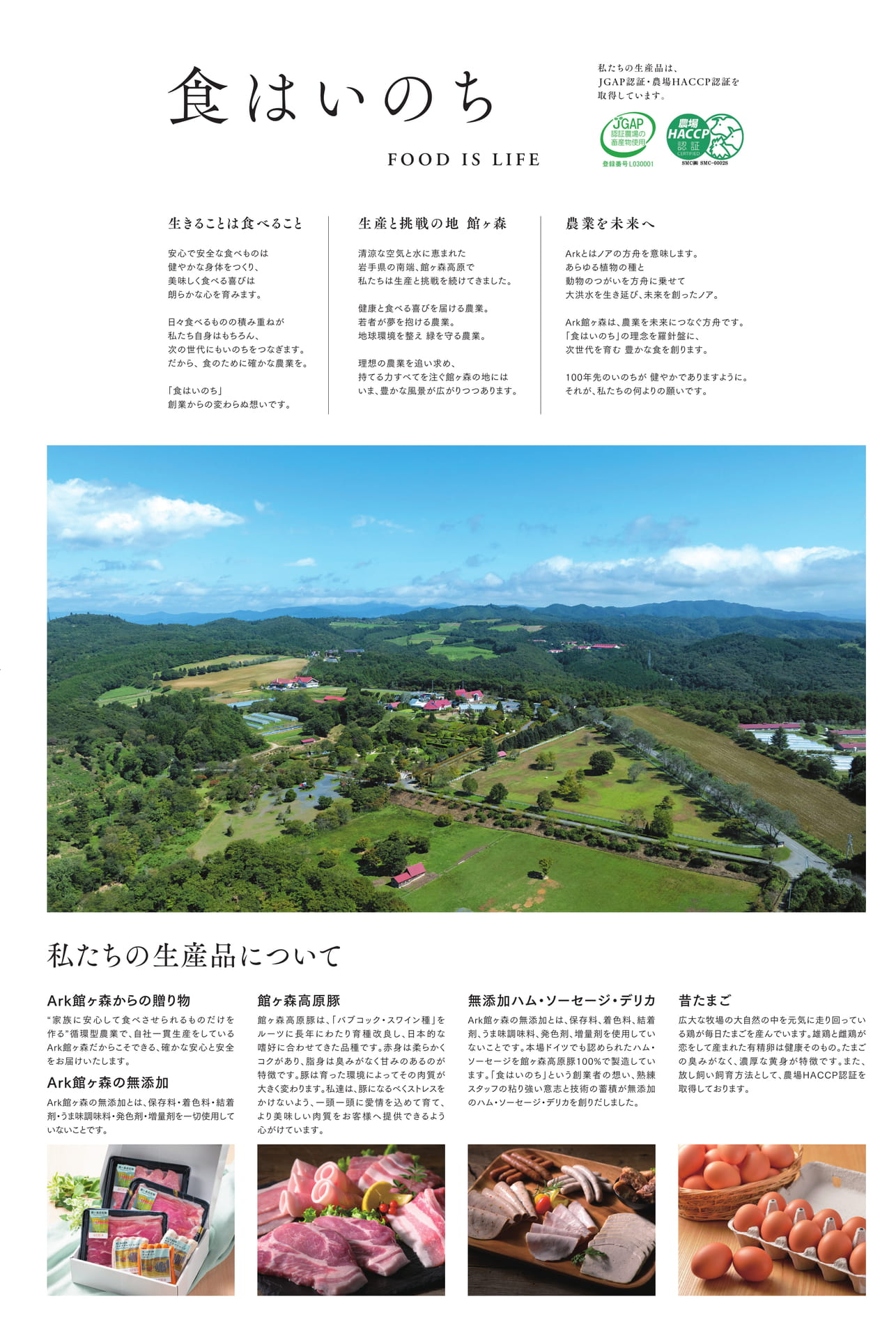Page 2（2ページ目）