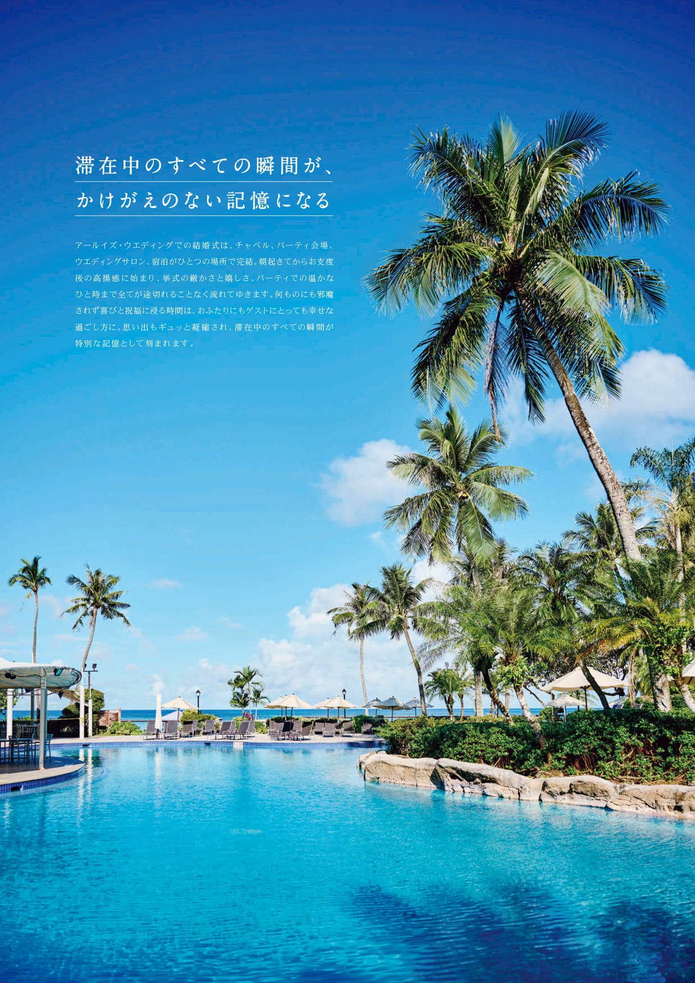 Page 20（20ページ目）