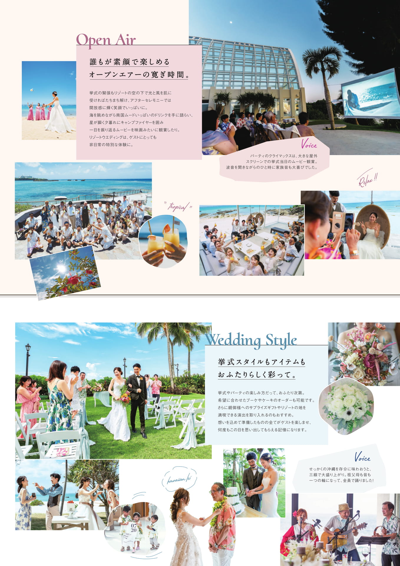 Page 41（41ページ目）