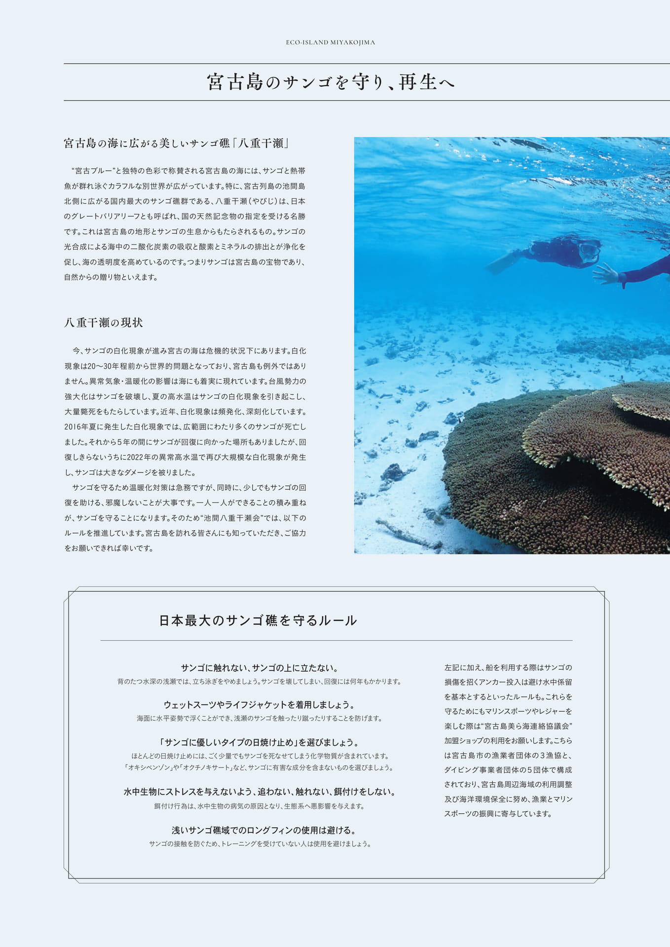 Page 32（32ページ目）