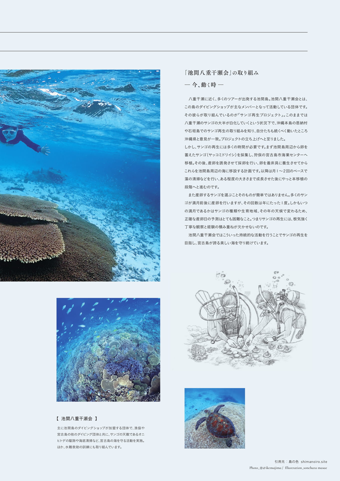 Page 33（33ページ目）