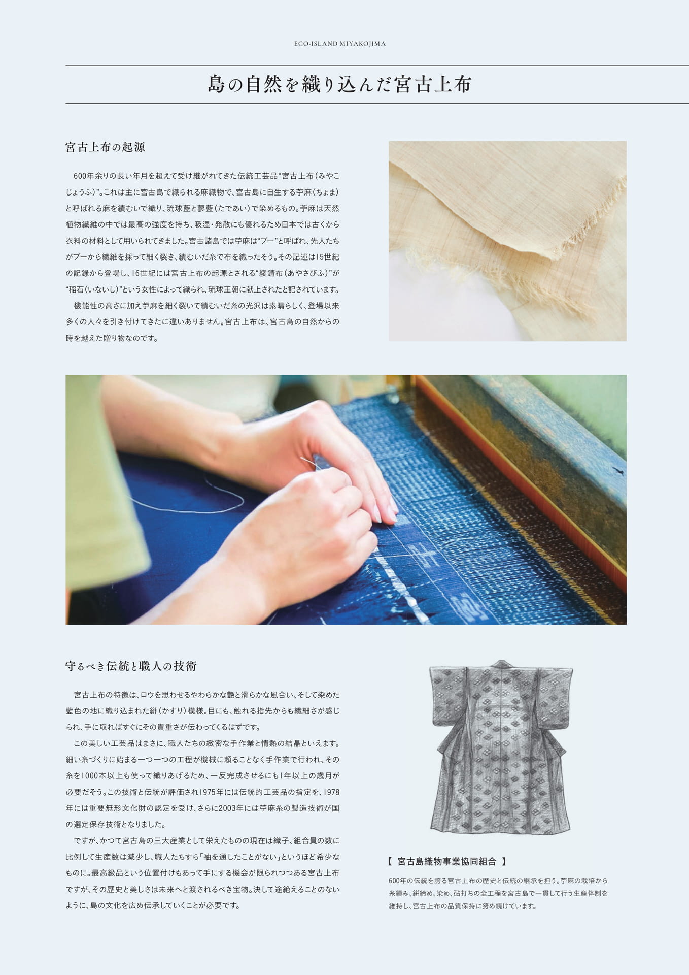 Page 34（34ページ目）