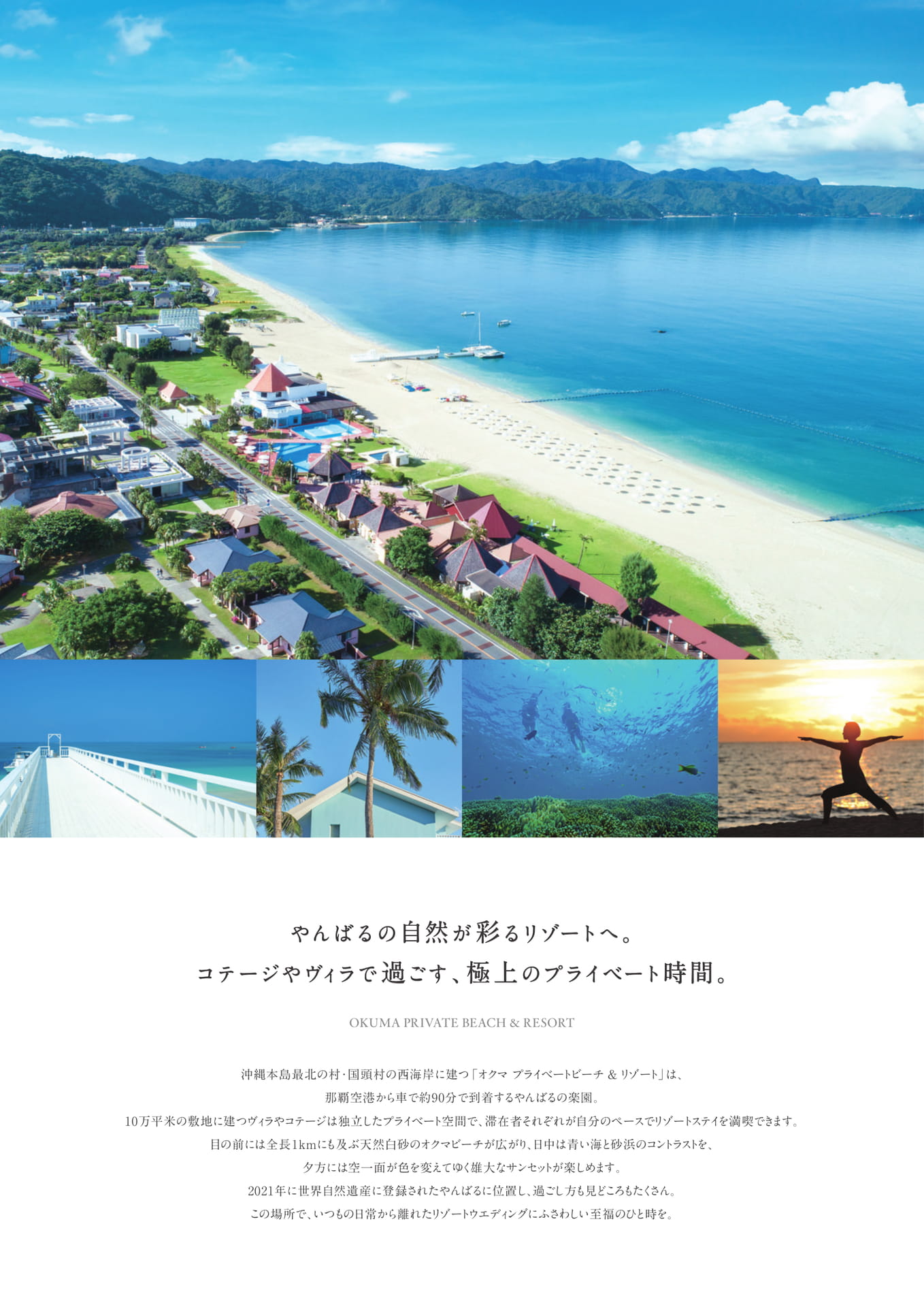 Page 24（24ページ目）