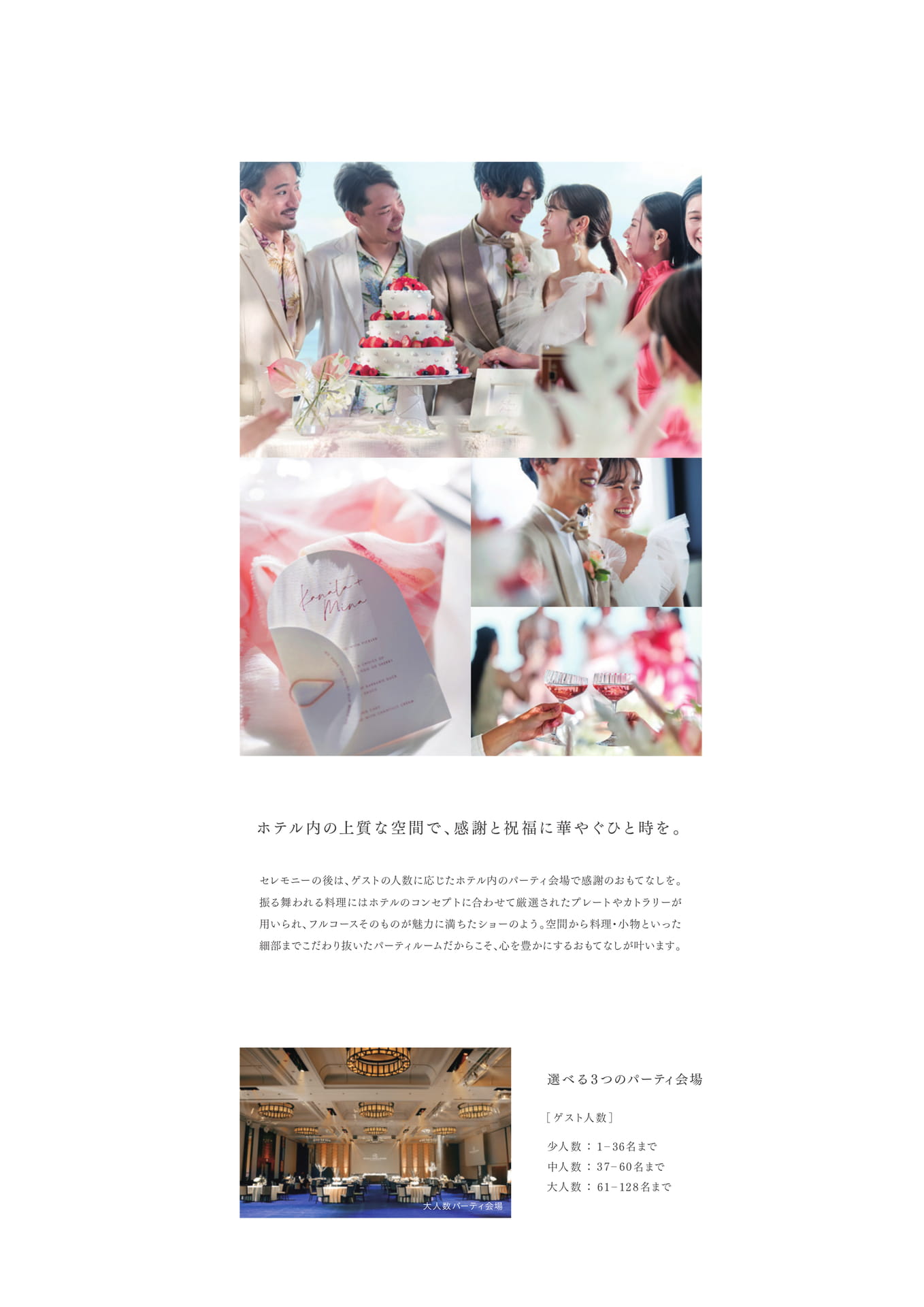 Page 29（29ページ目）