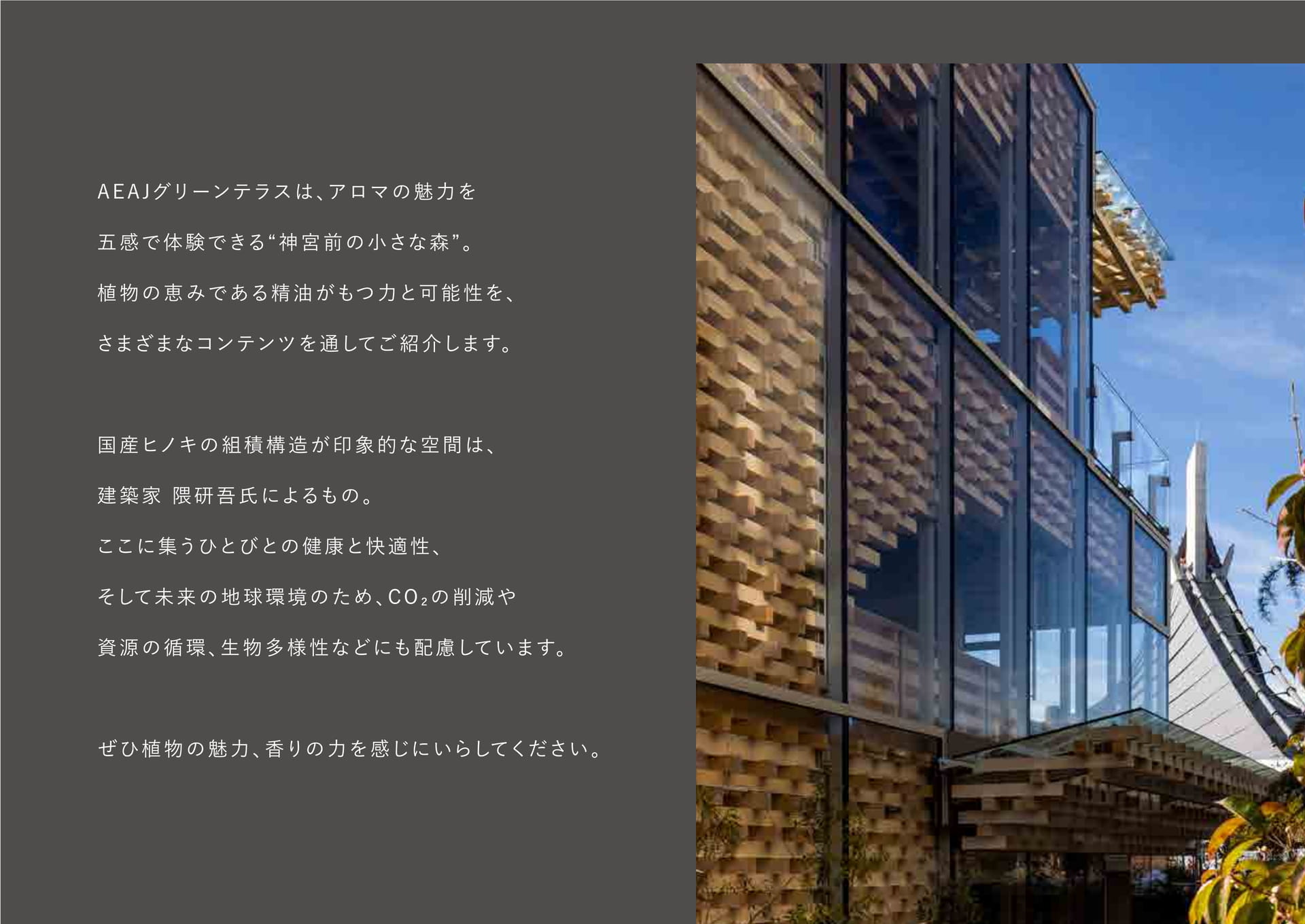 ABOUT（2ページ目）
