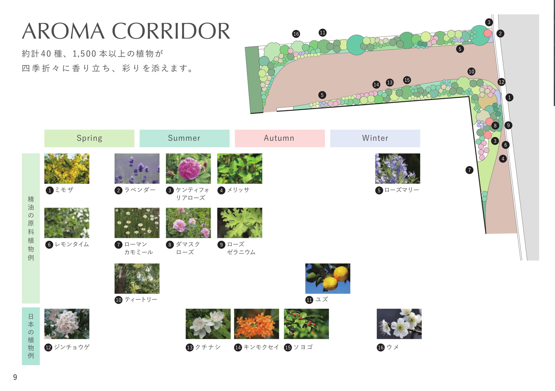 AROMA CORRIDOR -MAP-（10ページ目）