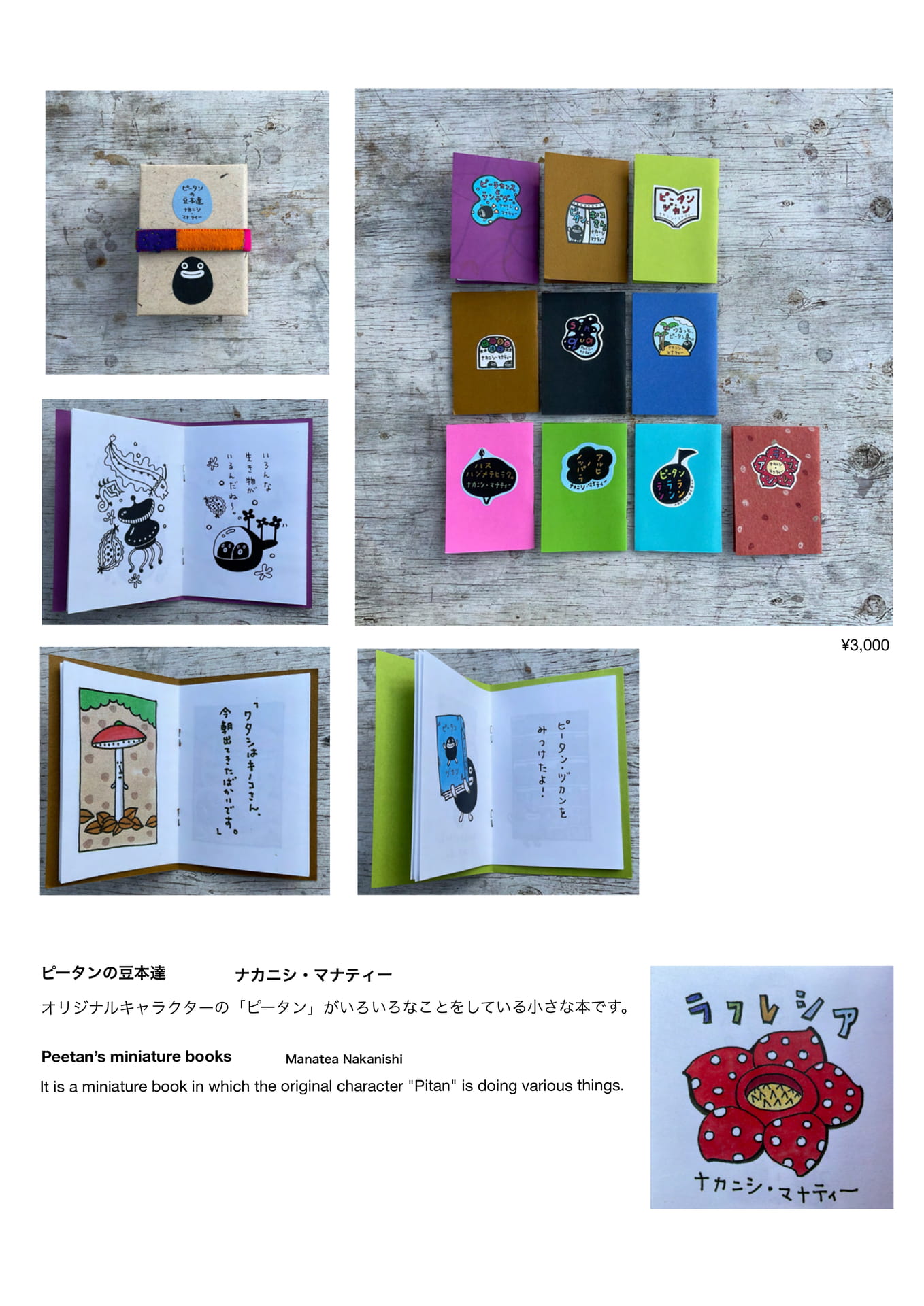 Page 27（27ページ目）