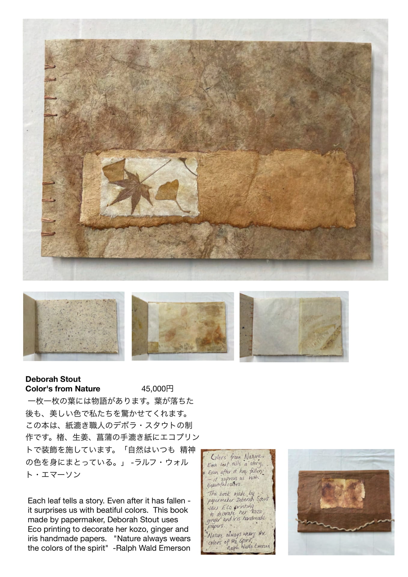 Page 50（50ページ目）