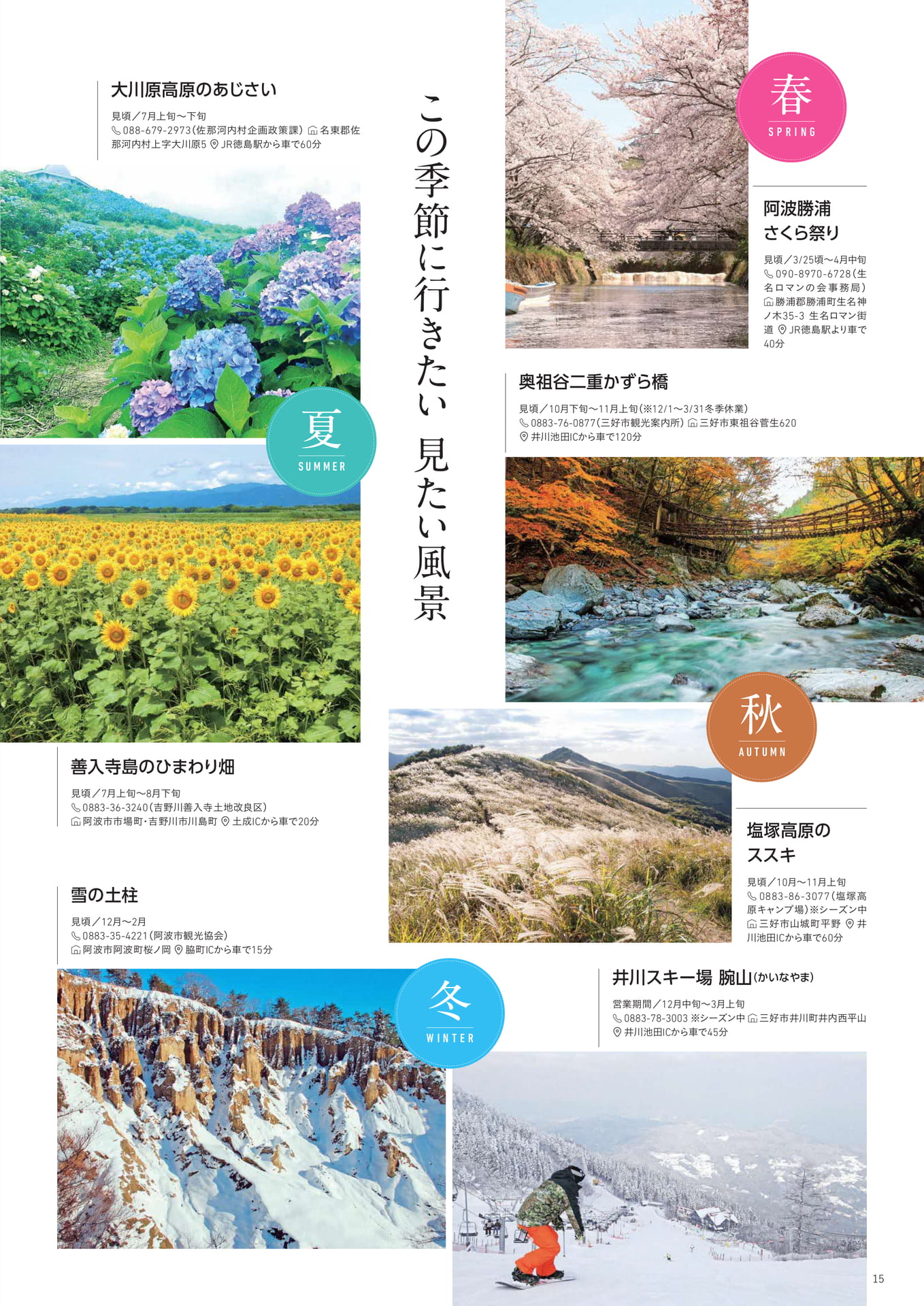Page 16(16ページ目)