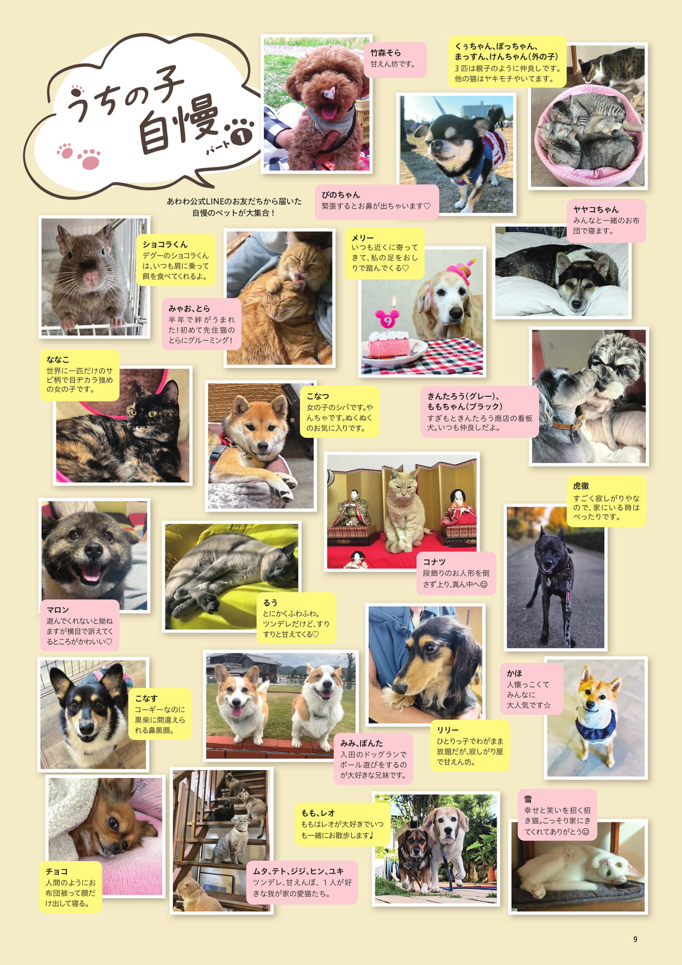 Page 11(11ページ目)