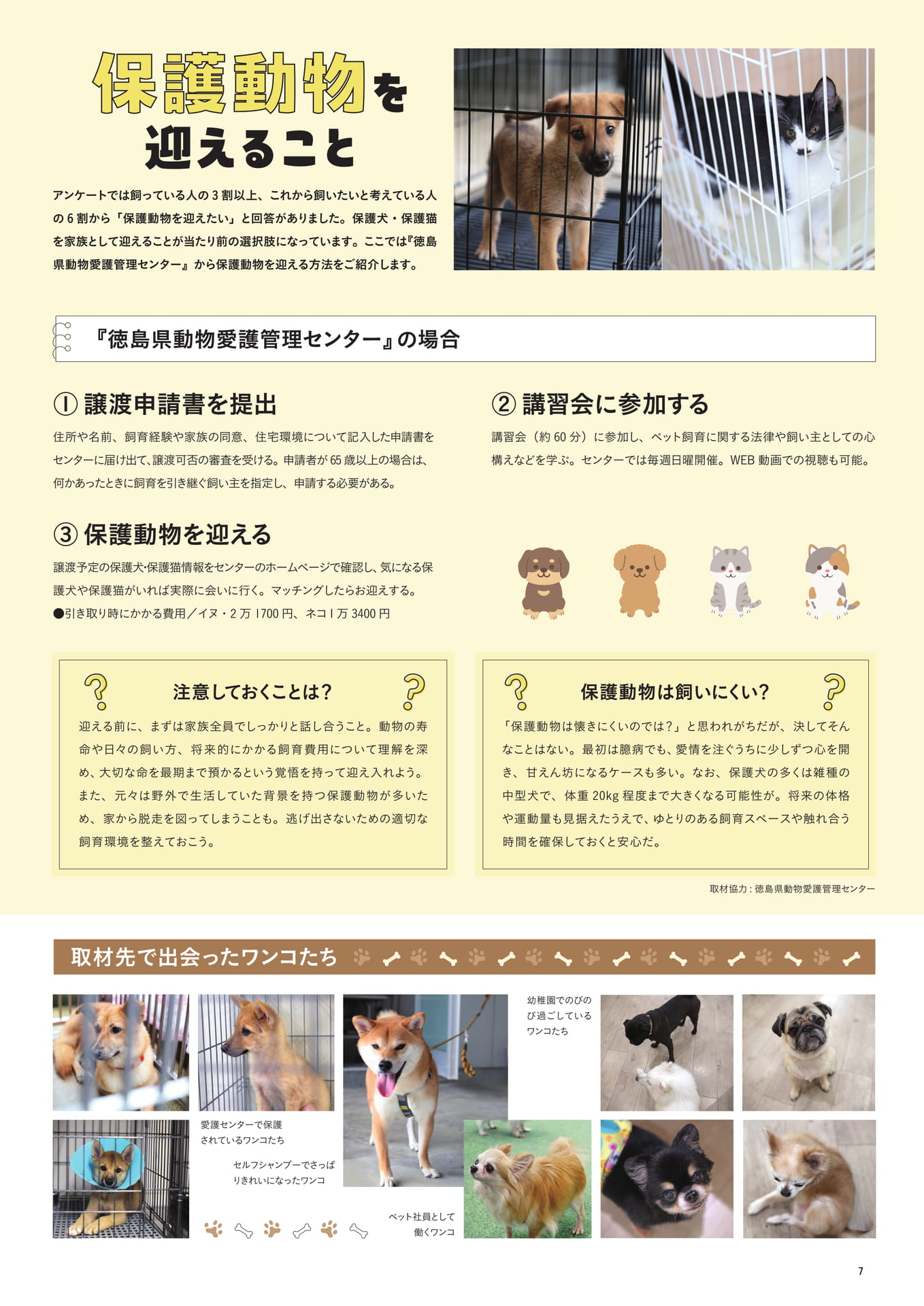保護動物を迎えること(9ページ目)