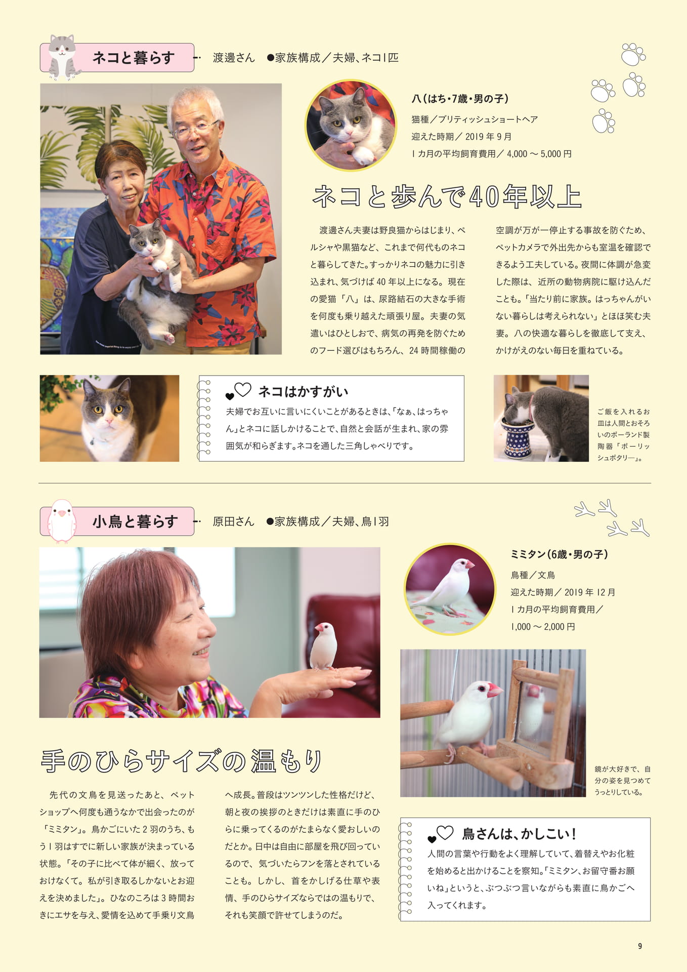 ネコ・小鳥と暮らす先輩飼い主(11ページ目)