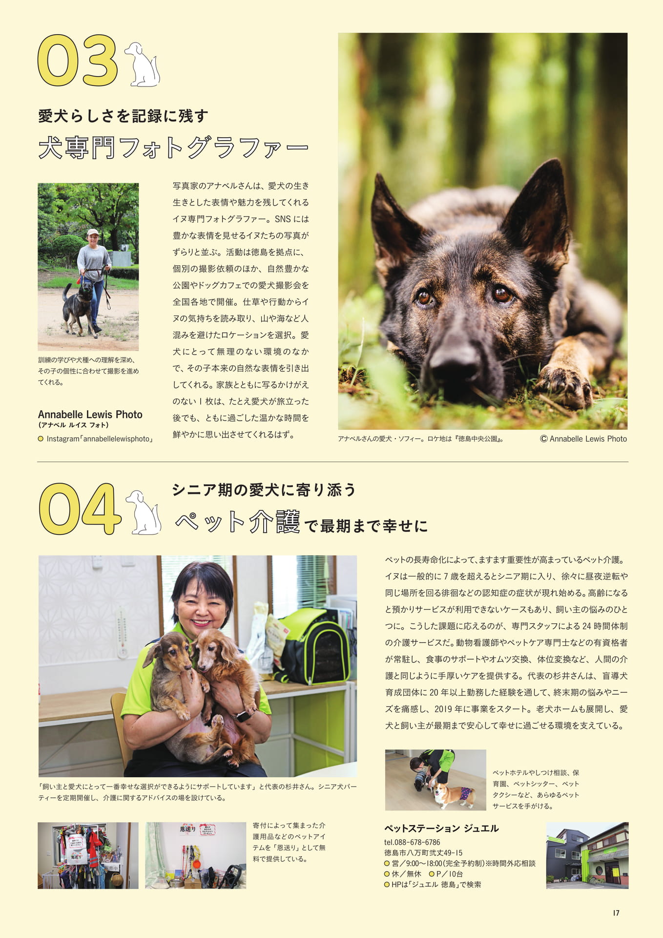 犬専門フォトグラファー(19ページ目)