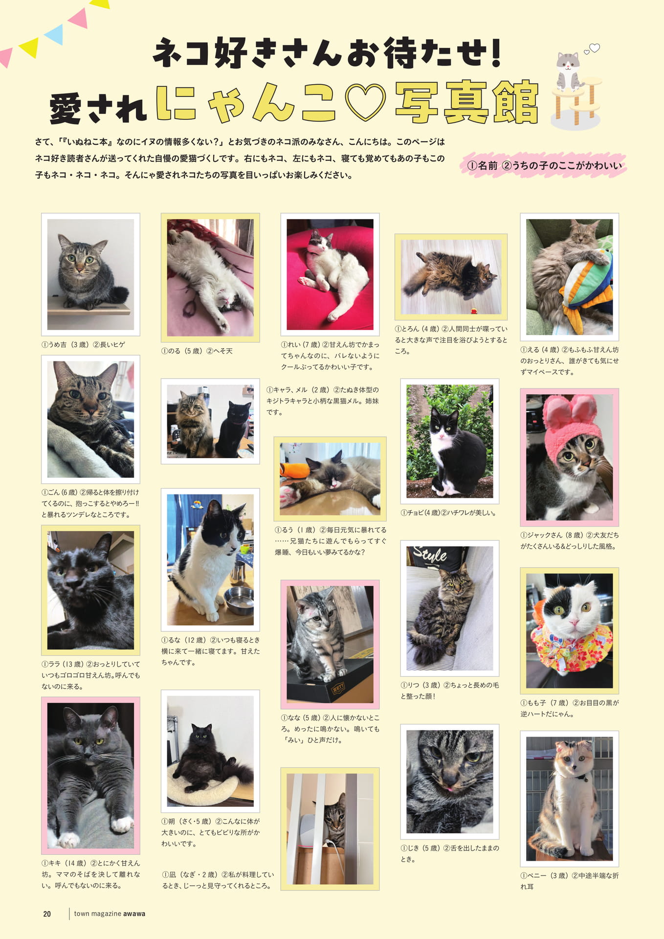 愛されにゃんこ写真館(22ページ目)
