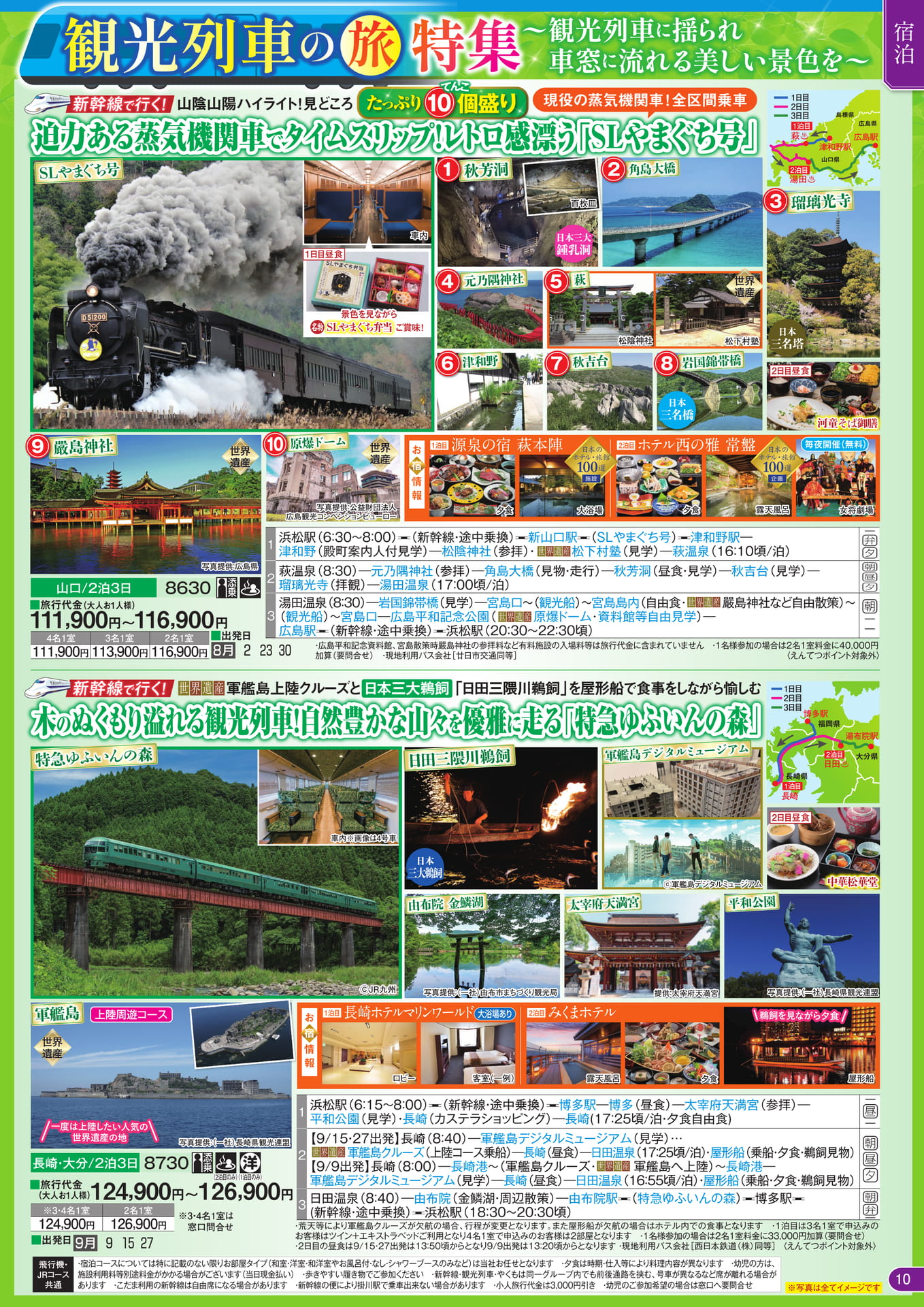 Page 11（11ページ目）