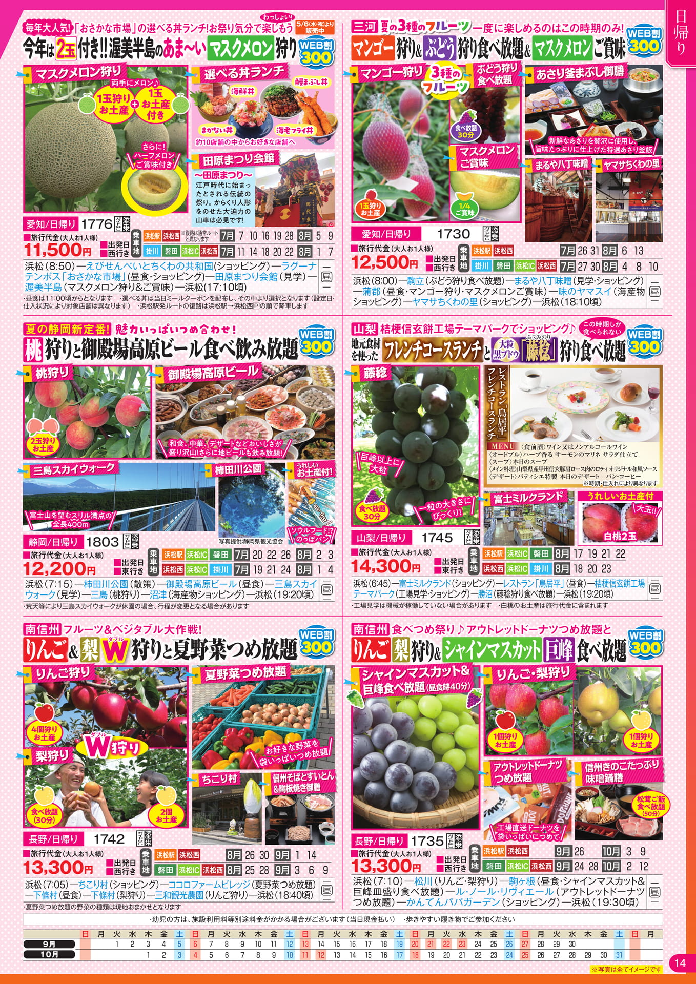 Page 15（15ページ目）