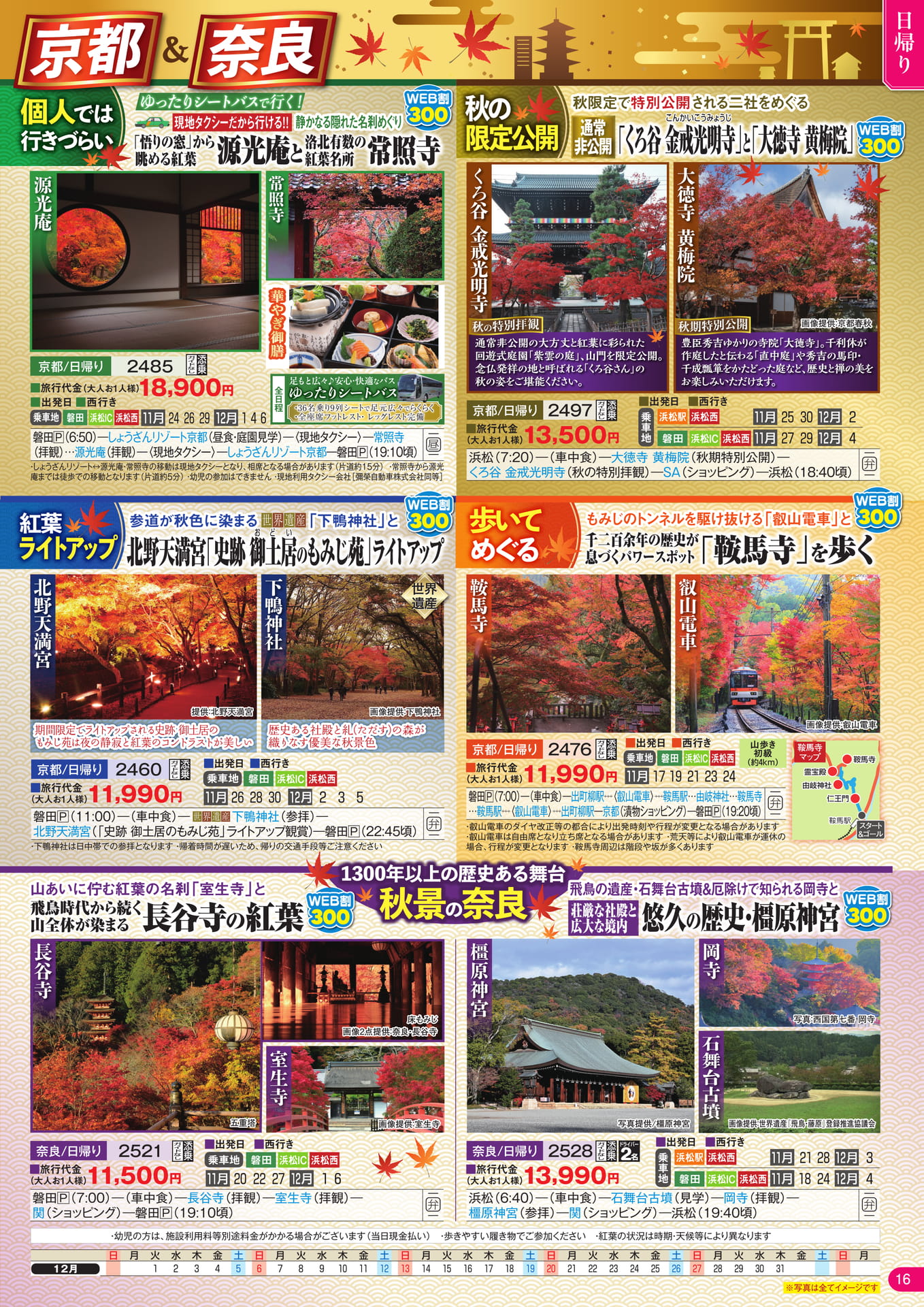 Page 17（17ページ目）