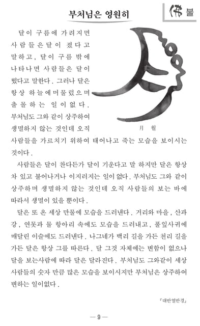 Page 11（11ページ目）