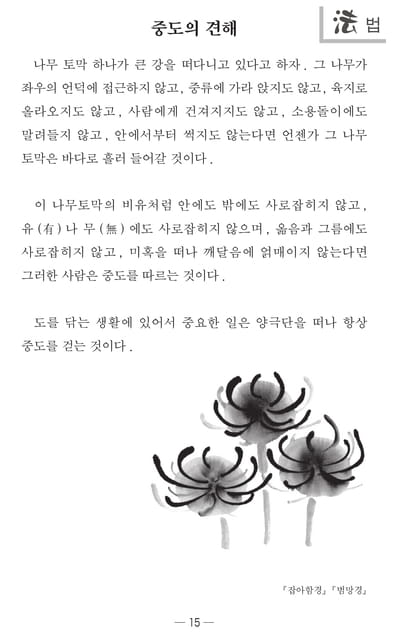 Page 17（17ページ目）