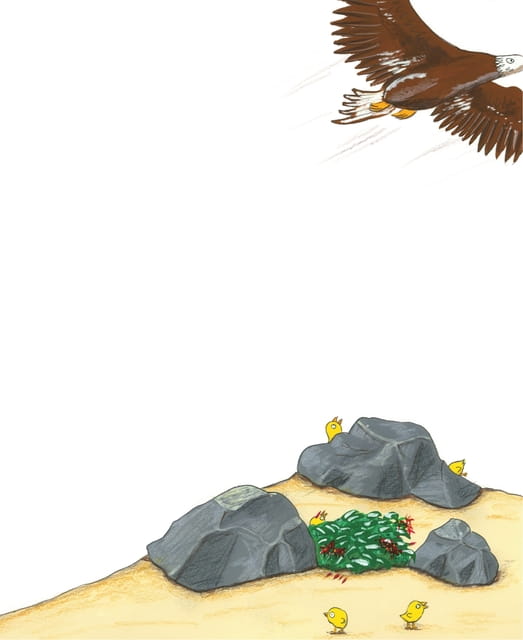 Page 15(15ページ目)