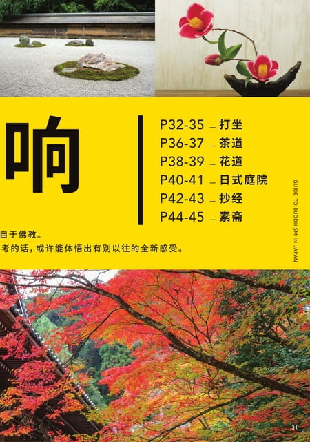Page 31（31ページ目）