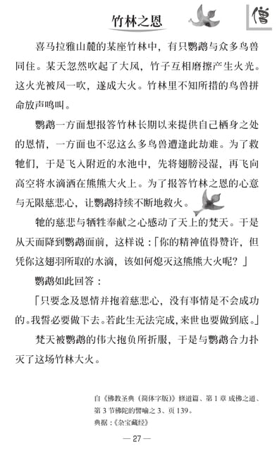 Page 29（29ページ目）