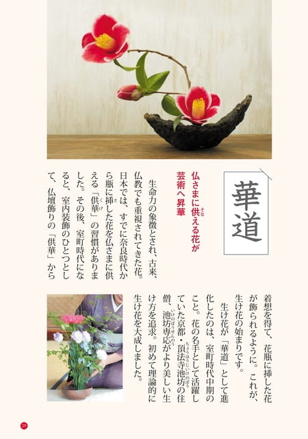 Page 29（29ページ目）