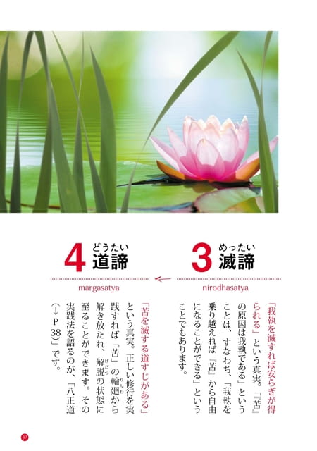Page 37（37ページ目）