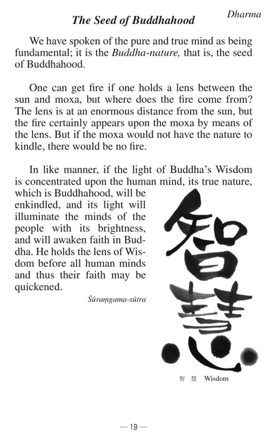 Page 21(21ページ目)