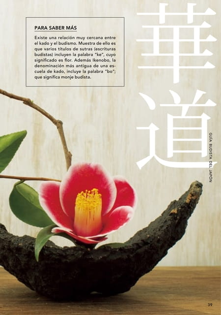 Page 39（39ページ目）