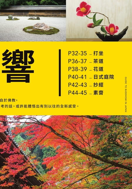 Page 31（31ページ目）