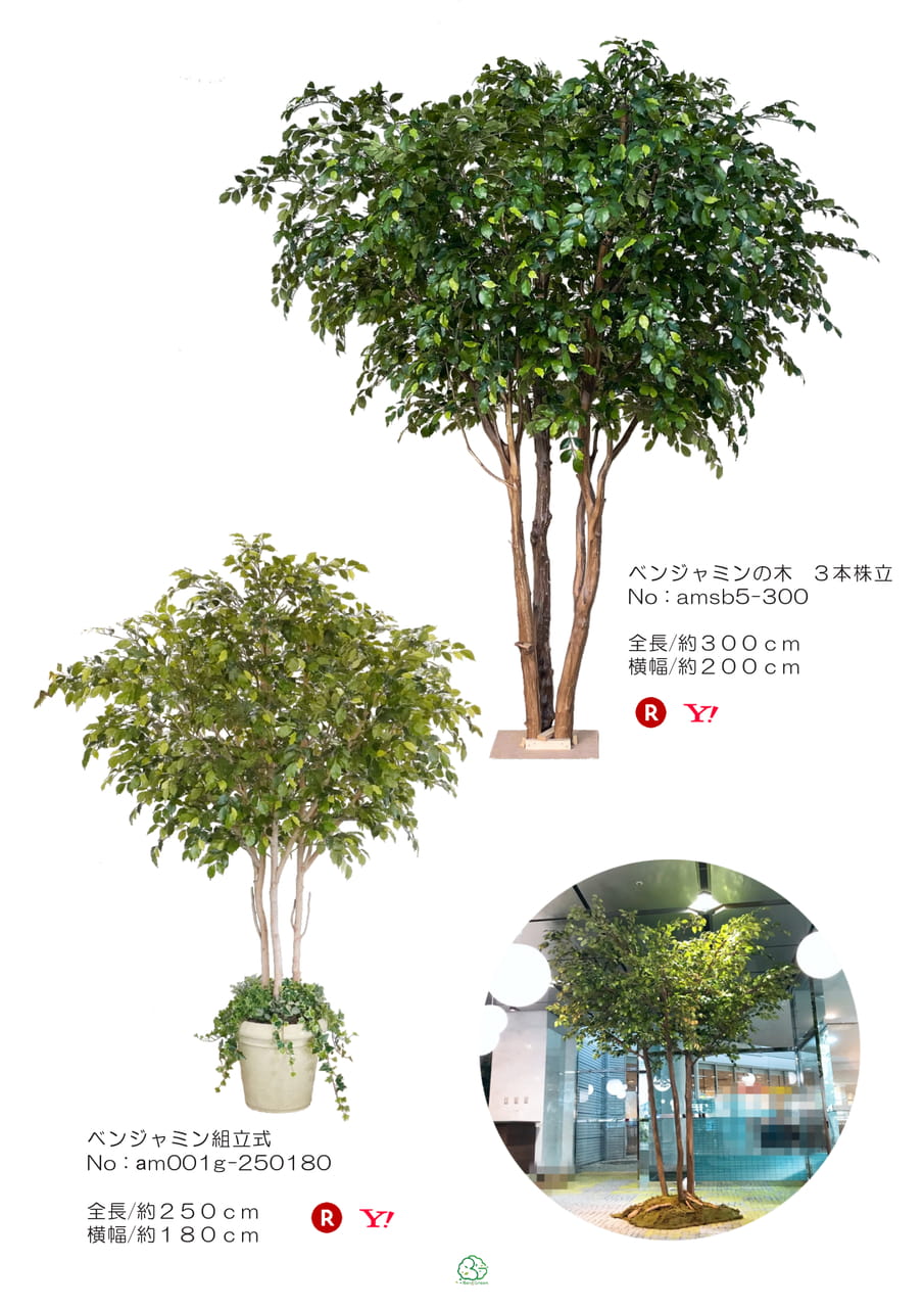 Page (追加)1(9ページ目)