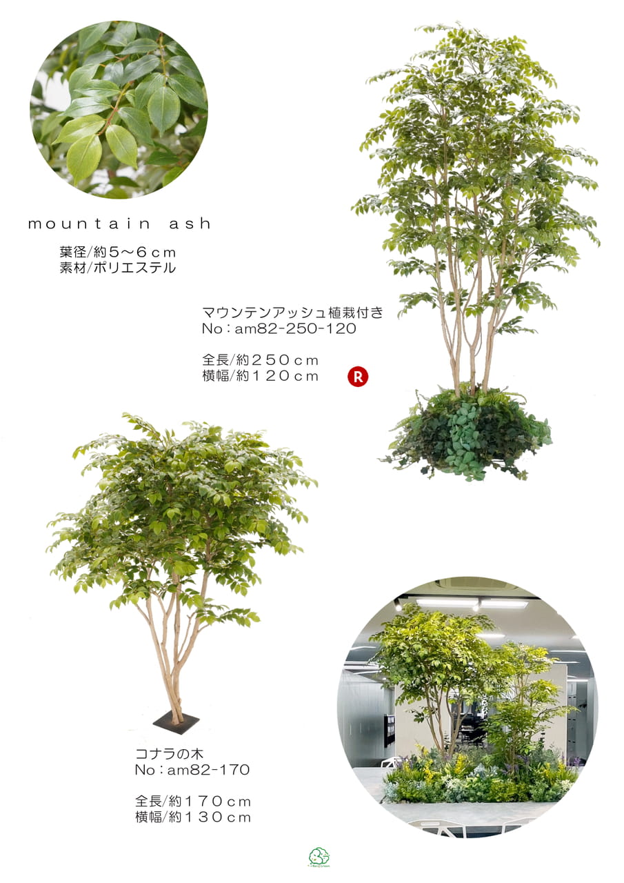 Page (追加)1(14ページ目)