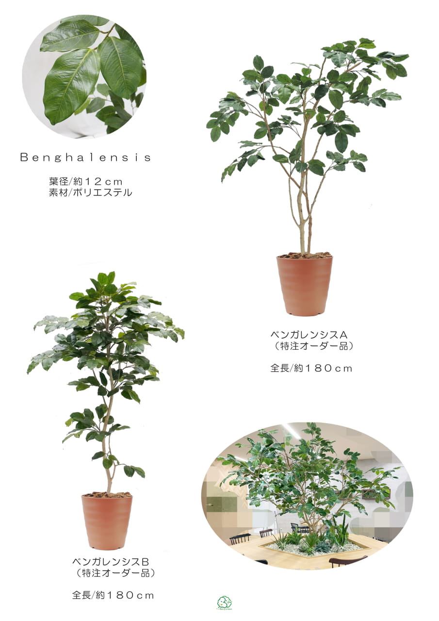 Page (追加)1(15ページ目)