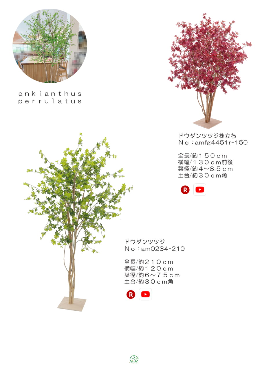Page (追加)1(21ページ目)