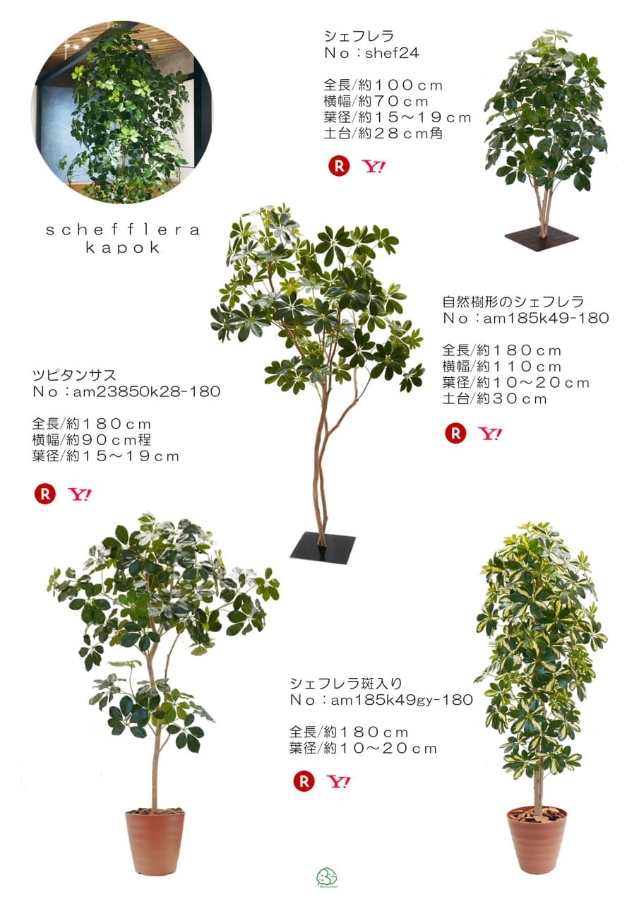Page (追加)1(22ページ目)