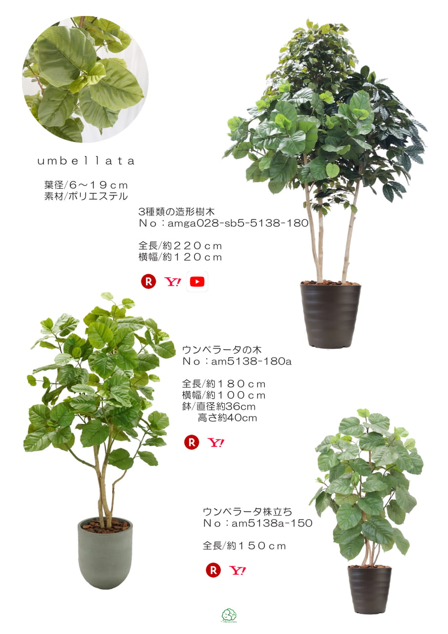 Page (追加)1(24ページ目)